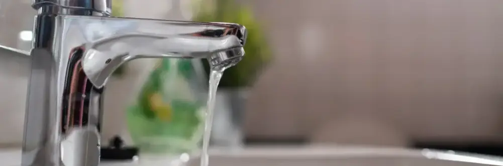 dreamstime_m_155650208_1