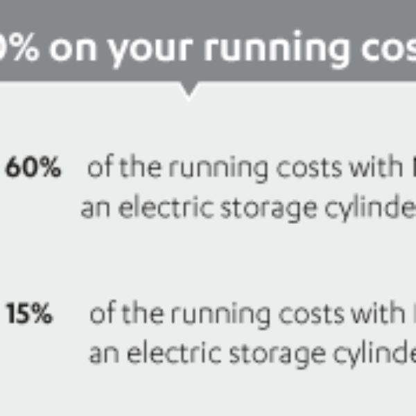 Rinnai VT 16EXT LPG INFVT16L