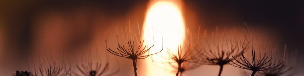 solar ready hot water — Solar Ready