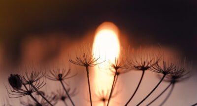 solar ready hot water — Solar Ready