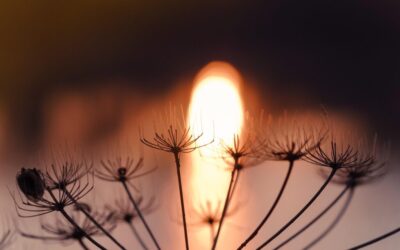 solar ready hot water — Solar Ready