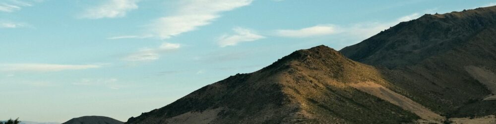 wetback emissions standards New Zealand